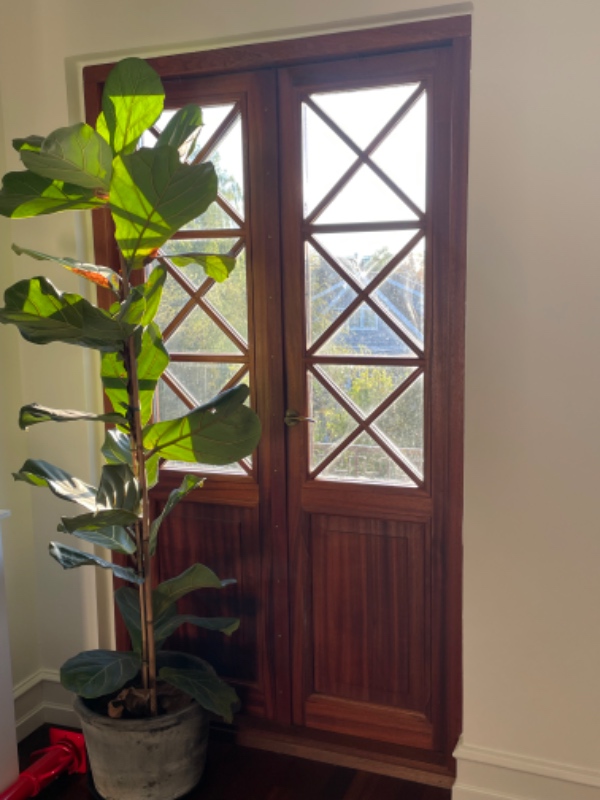 Maling af hoveddør og altandør