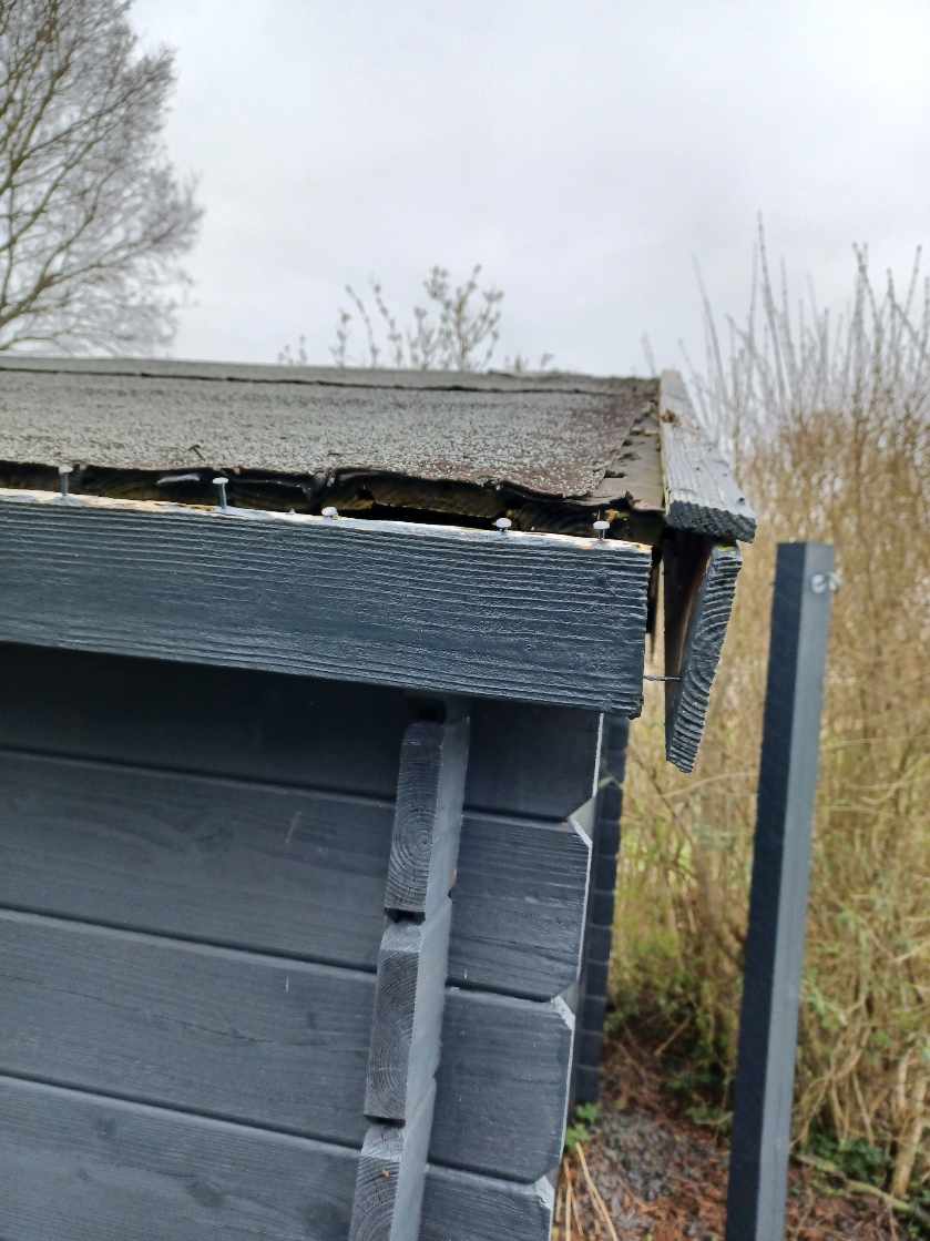 Reparation af tag på mindre anneks i haven. Fjernelse af gammelt tagpap og sternbrædder og nyt tagpap lægges/nye brædder monteres.