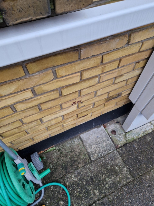 Nyt stikkontakt udendørs