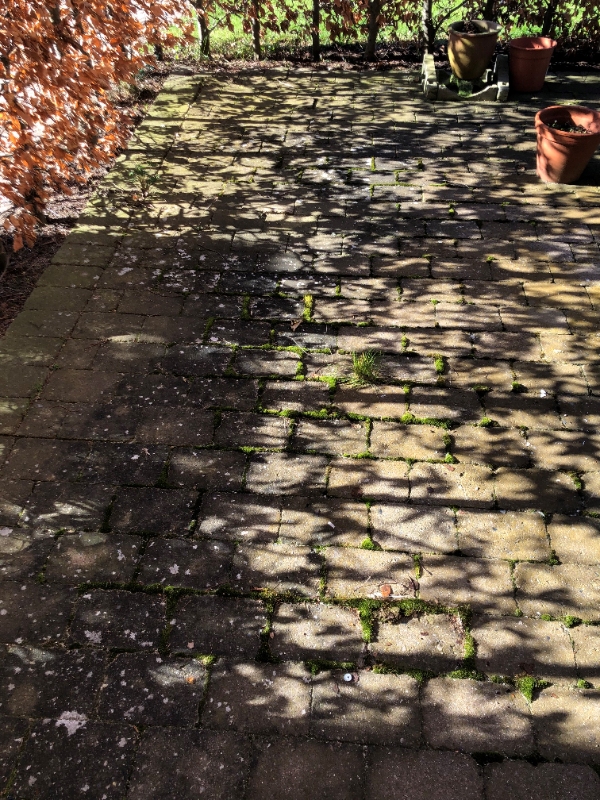 fjernelse af ukrudt og alger på fliser