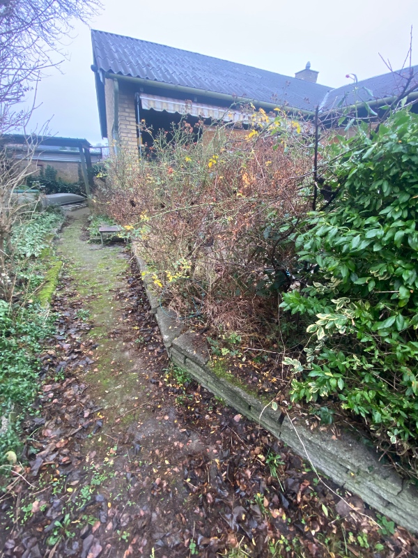 Fjernelse af tornebusk