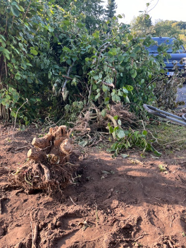 Afhentning af haveaffald