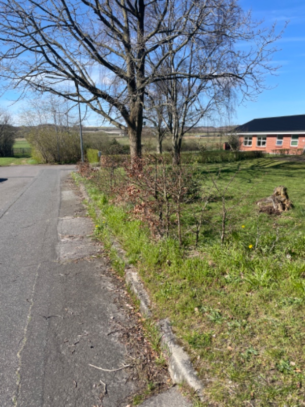 Gravet hæk op, gravet rande til ny jord.