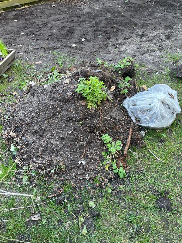 Haveaffald og sten bortskaffelse