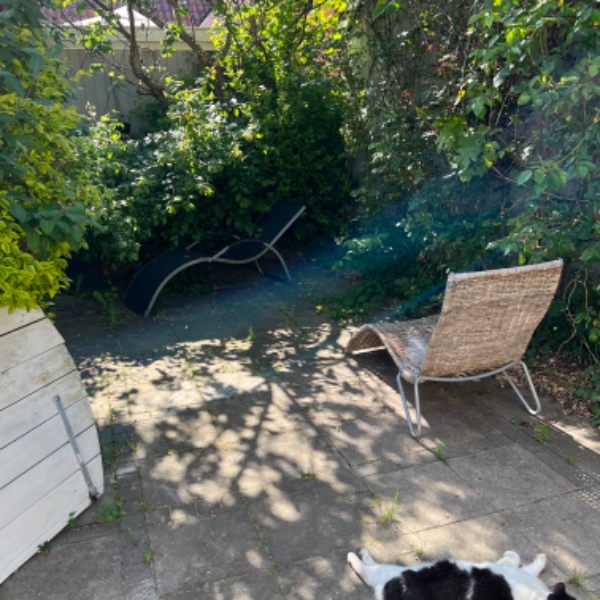 Højtryks spulet terasse