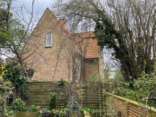 Beskæring af nøddetræer