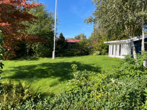 Hæk, græs og lugning af fliser