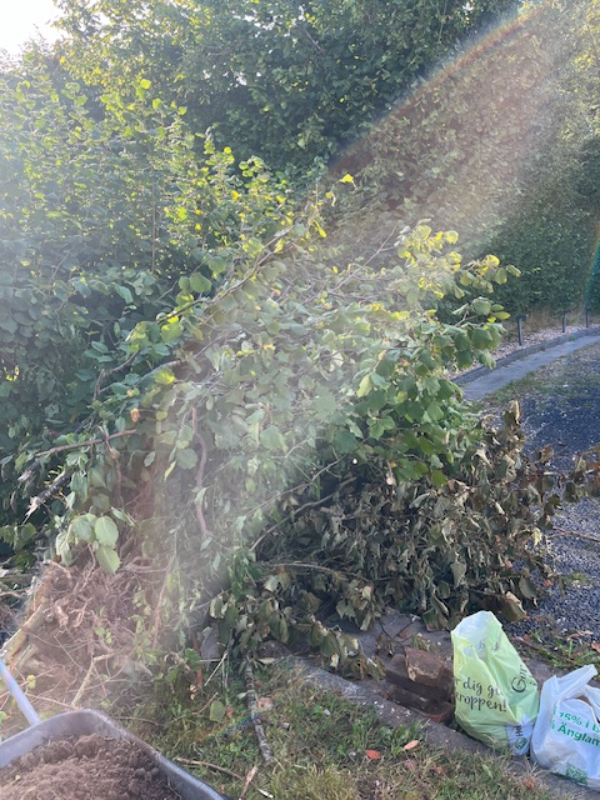 Afhentning af haveaffald