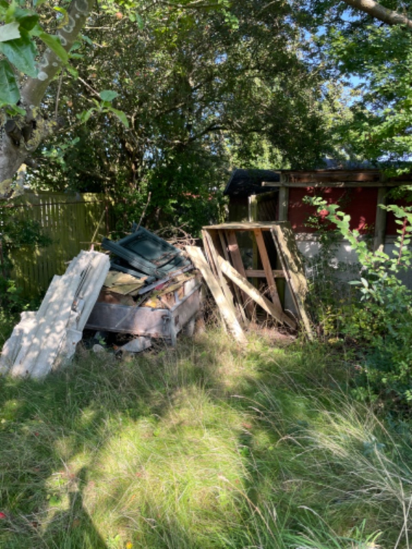 Rydde grund for affald og brombærbuske