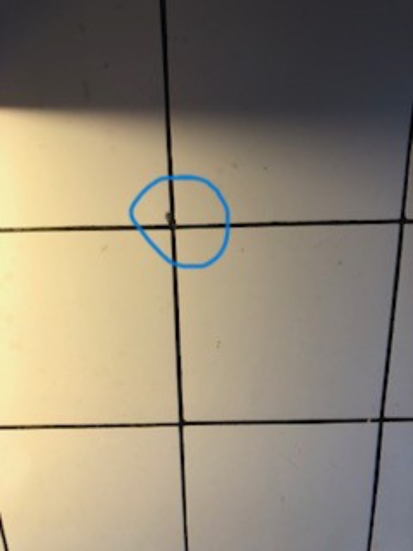 Udskiftning af ca. 10 ødelagte vægfliser 15x15 cm i køkken.