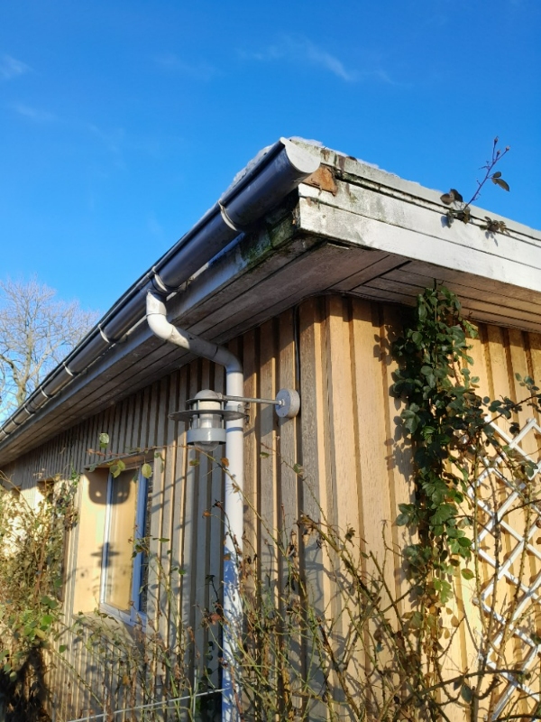 Tagrende og sternbrædder