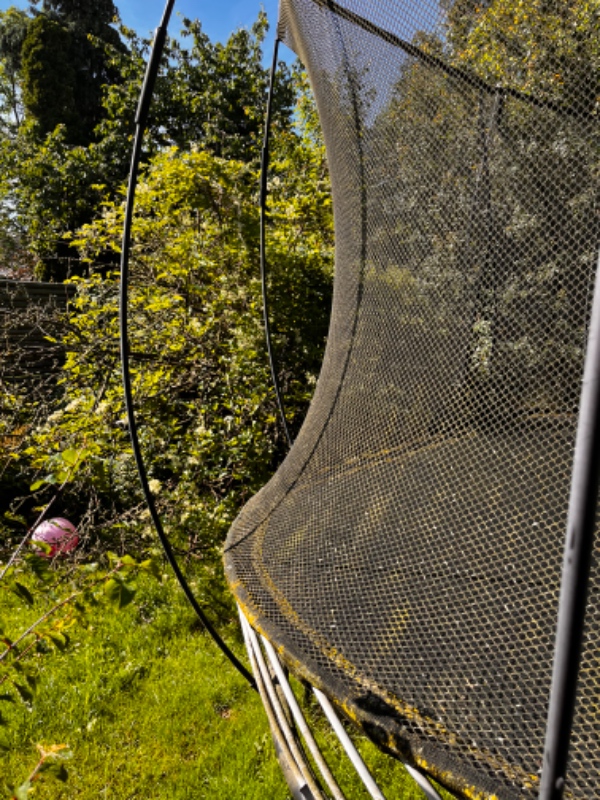 Have ordnes og storskrald fjernes