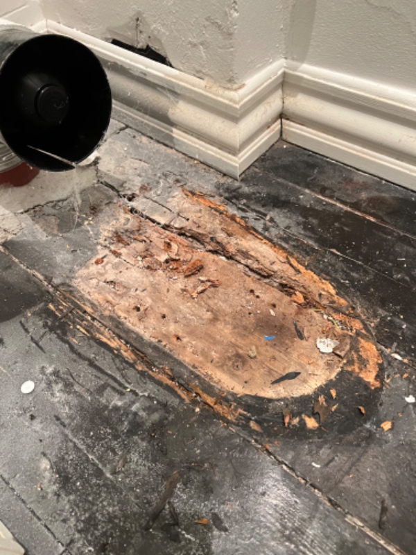 Trægulv som er rådnet på badeværelse (småt)