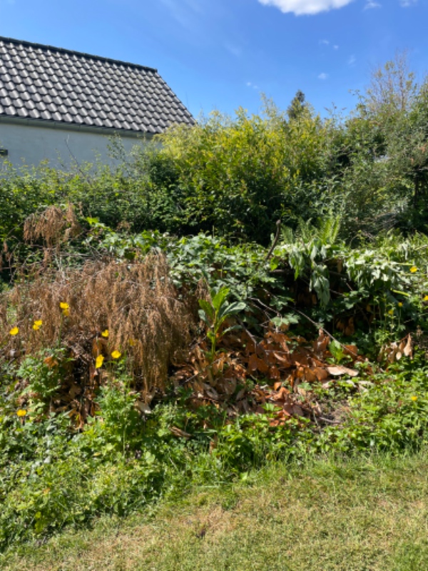 Afhentning af haveaffald + lidt byggeaffald