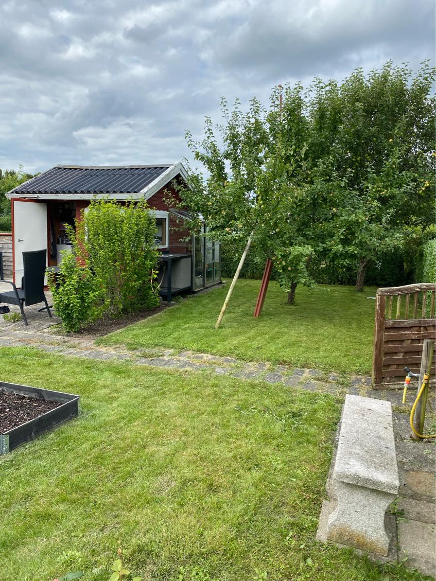 Ukrudtsfjerning og græsslåning