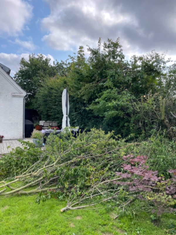 Bortkørsel af haveaffald fra hækklipning