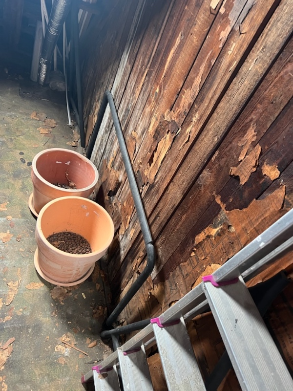 Hjælp til afhentning av storskrald