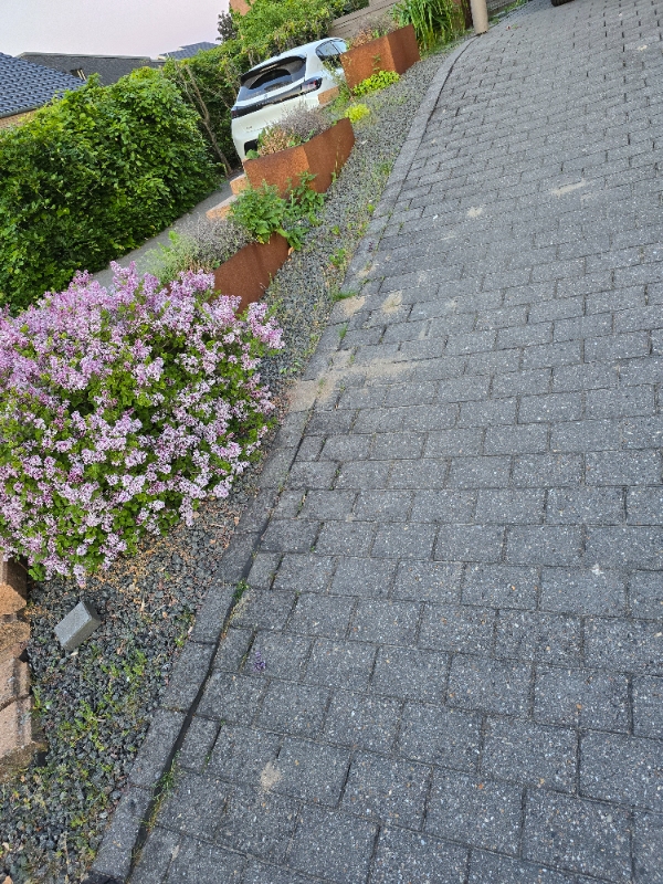 Klargøring af havebede