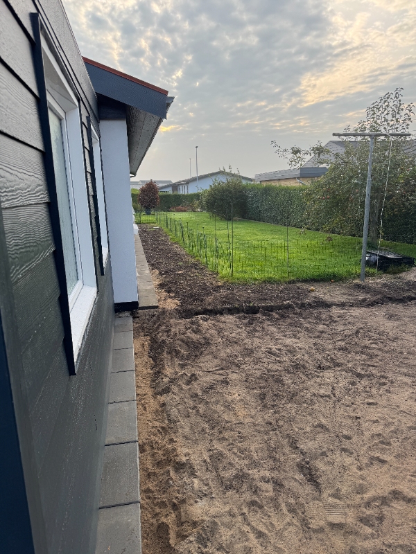 anlæg af græsplæne