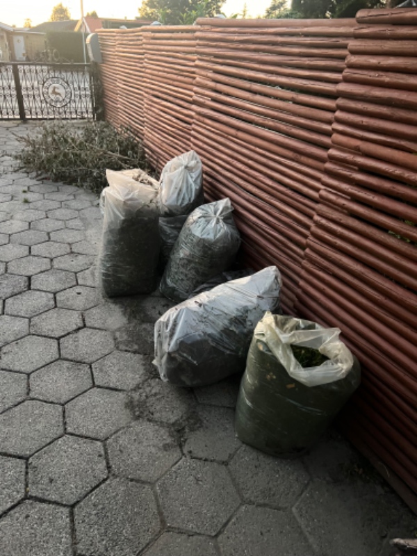 Smide affald ud til genbrugsplads