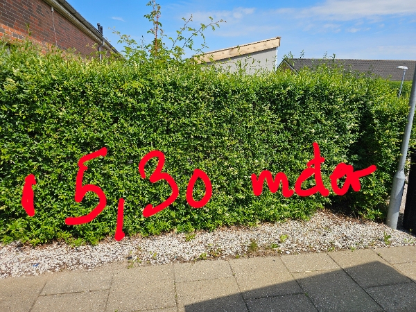 Hækklipning og affaldsfjernelse