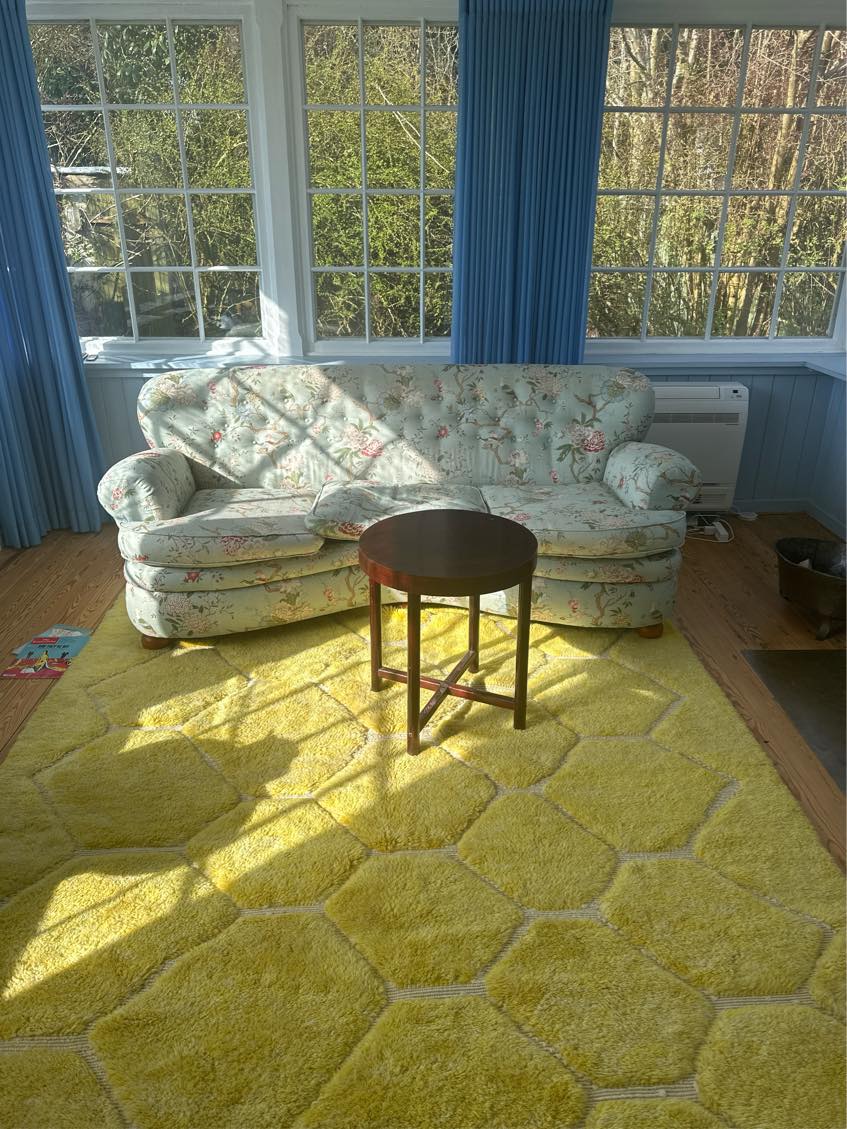 Hjælp til at obs! Skal blive i huset - flytte sofa, spisebord og andre småting