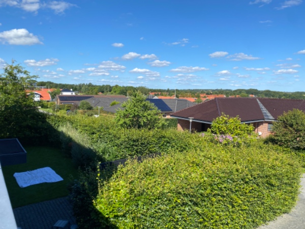 Klipning af stor hæk