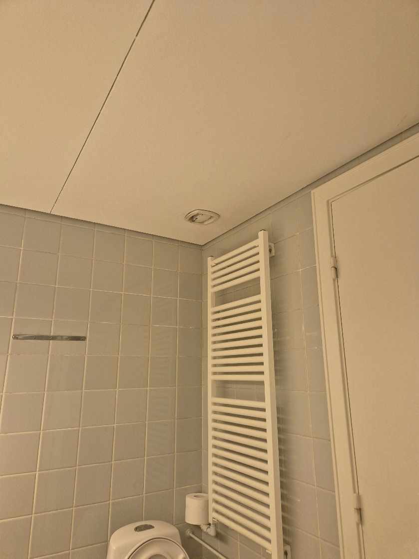 Fjerne 4 asbest loftpladser
