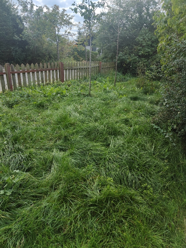 Græsslåning og rydning af ukrudt