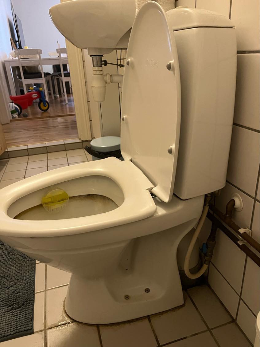 Afmontering og installering af toilet