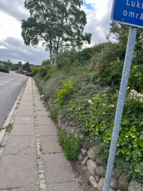 Hækklipning og fjernelse af haveaffald