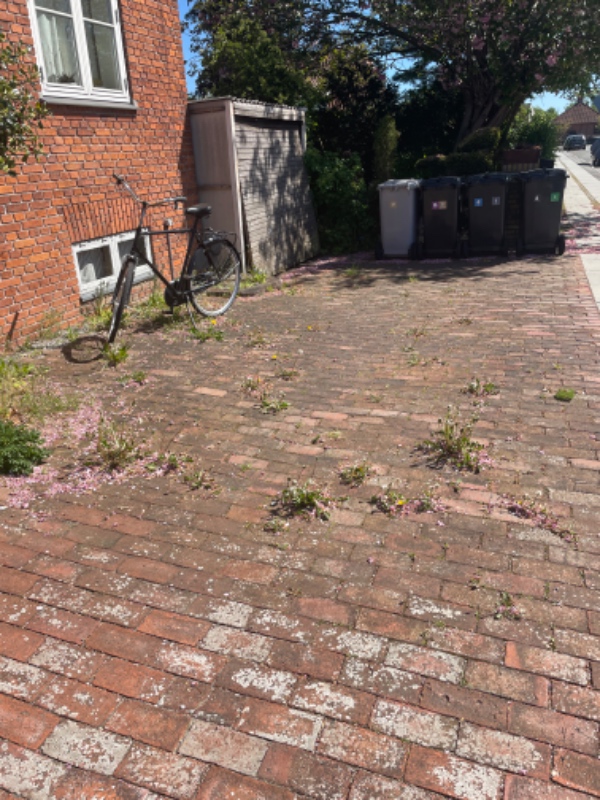 Forhave lugning uden brænding