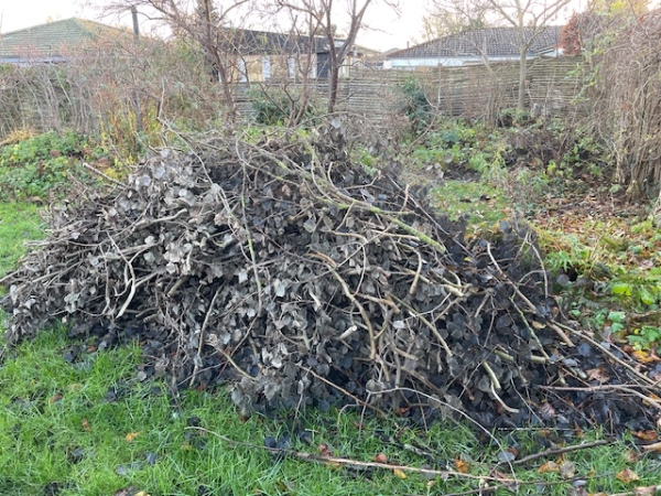 Bortskaffelse af haveaffald