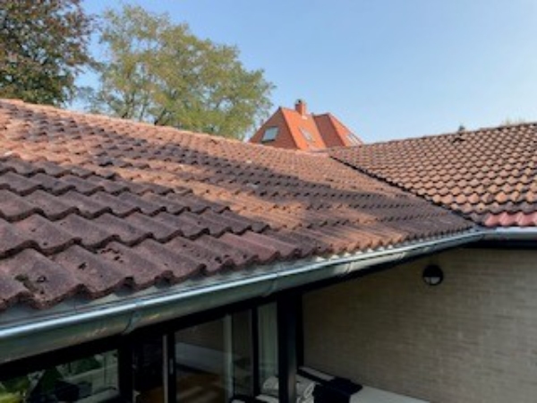 Udskiftning af 2 betontagsten på tag