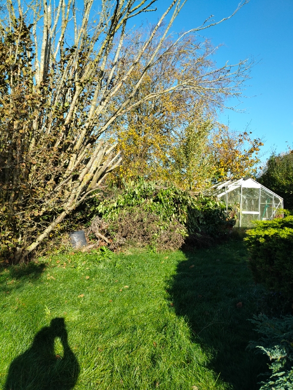 Have: Beskæring, nedrivning