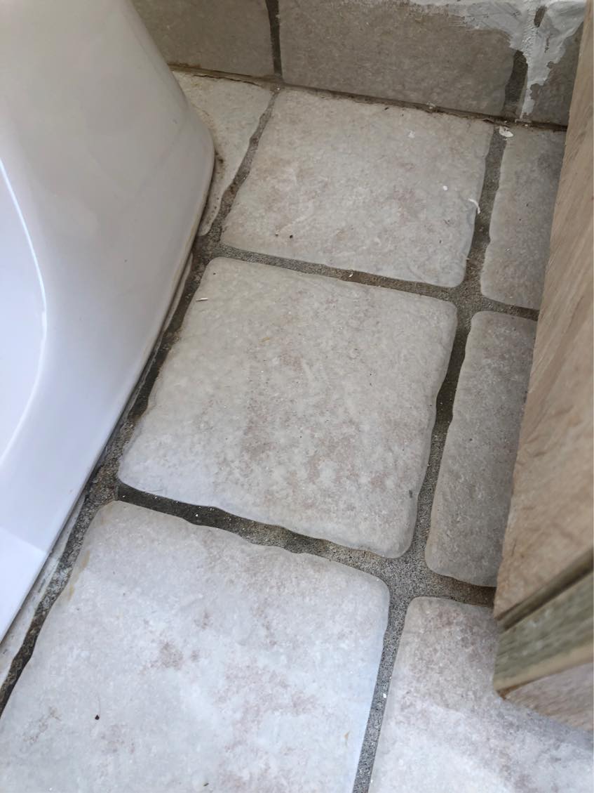 Rengøring og vinduers pusning