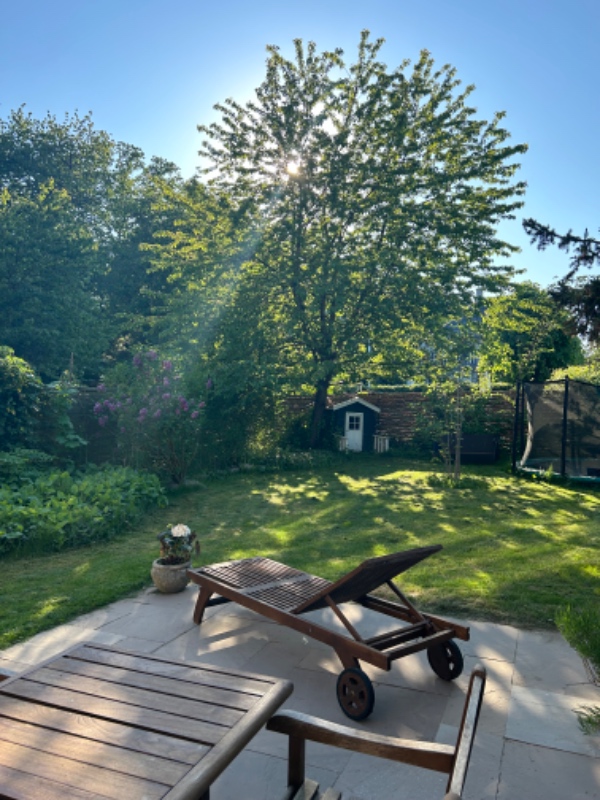 Beskæring af kirsebærtræ