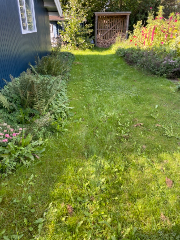 Hæk, græs og lugning af fliser