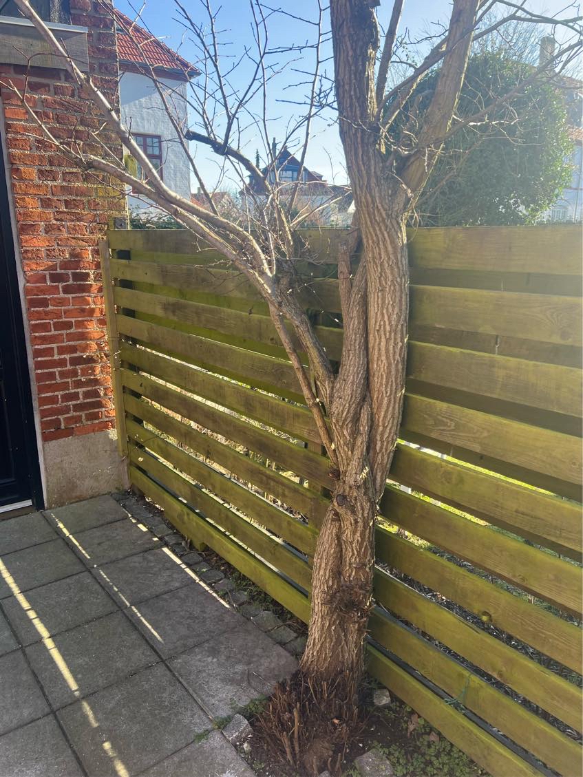 Tilbud på nedtagning og opsætning af nyt hegn