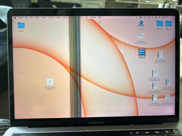 Reparation af Mac Skærm