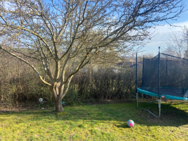 Klippet hæk og fjernet en bunke haveaffald