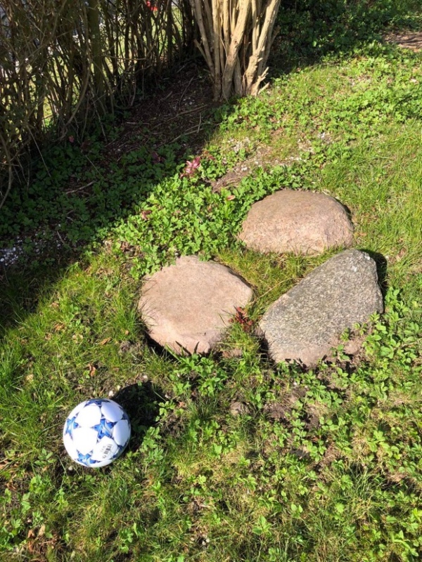 Fjernelse af store, tunge sten