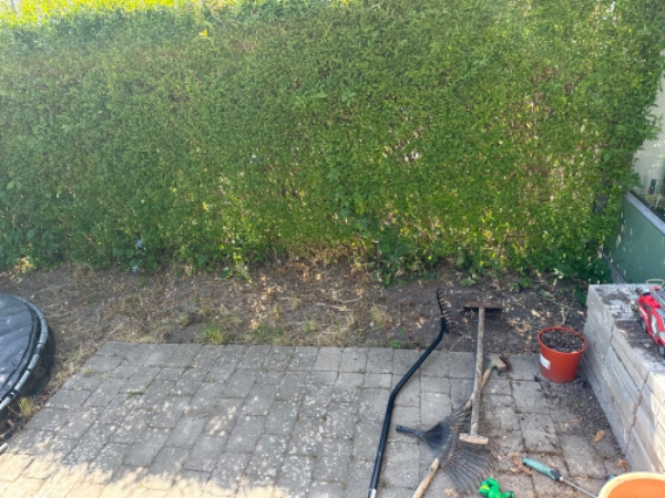 Rullegræs og renset fliser