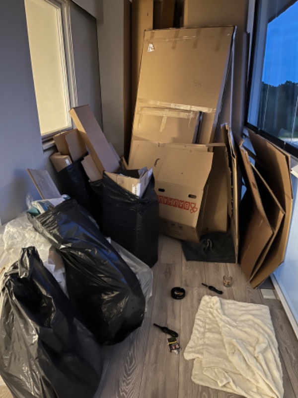 Bortskaffelse af pap affald, flamingo, rester af træplader.