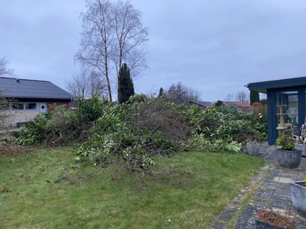 Fjernelse af grenaffald