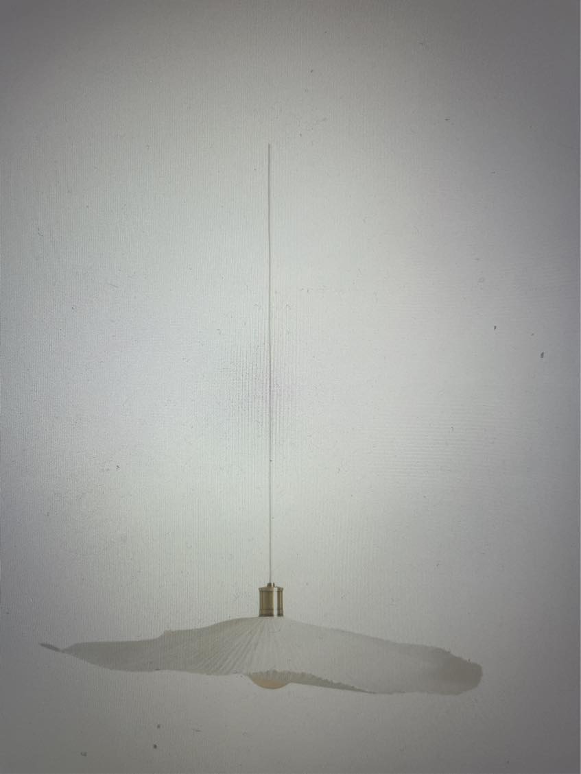 Opsætning af gardiner og loftlampe