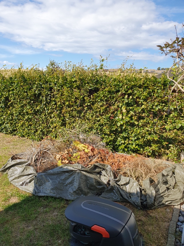 Fjernet haveaffald og klippet hæk