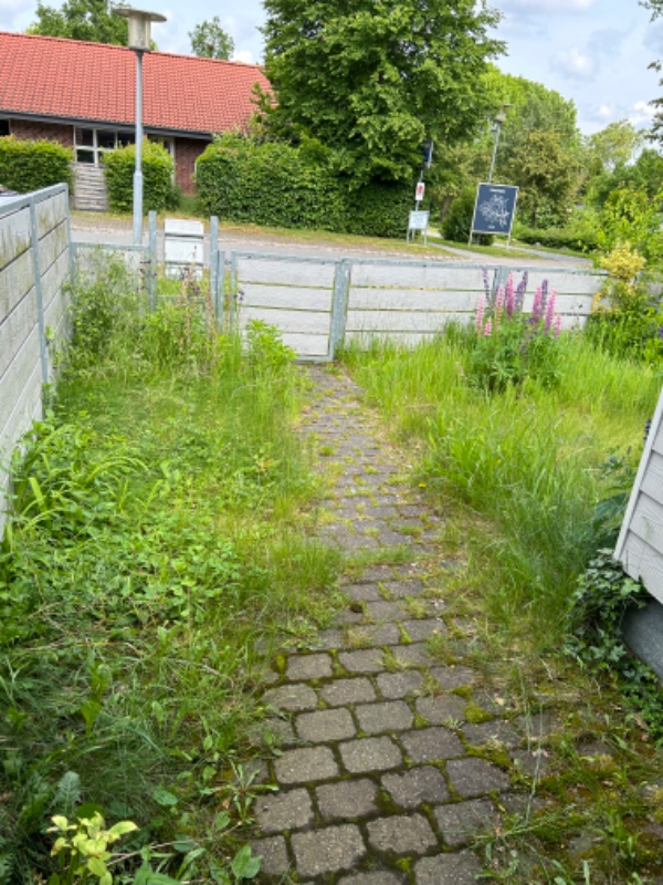 Slå græs og trim hække