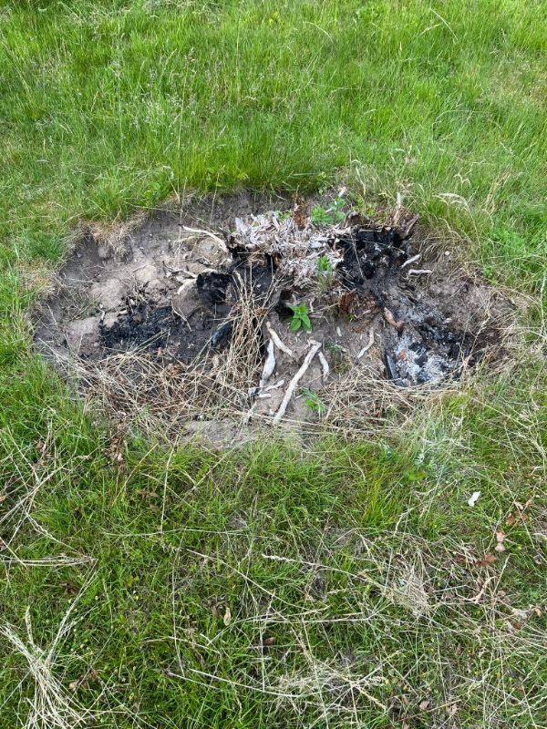 Fjerne træstubbe og buske