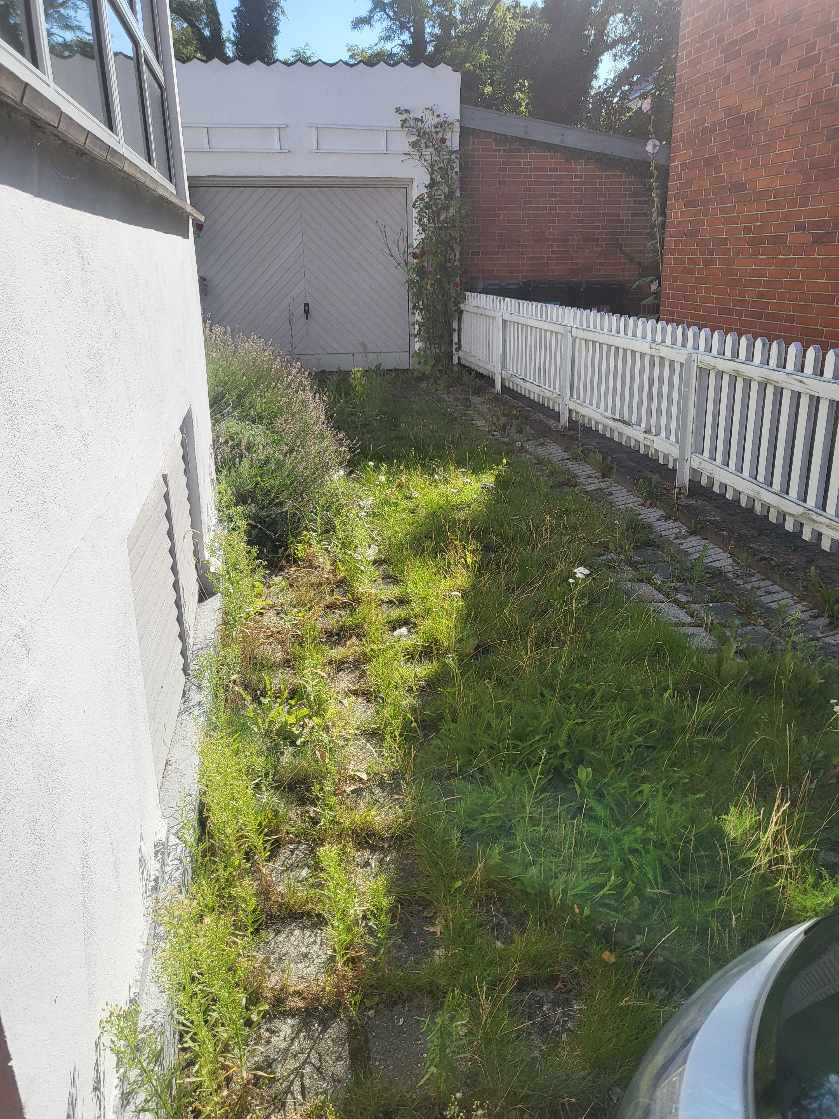 Rydde ukrudt i indkørsel